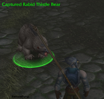 Player Character (SamuraiFungi) with Captured Rabid Thistle Bear