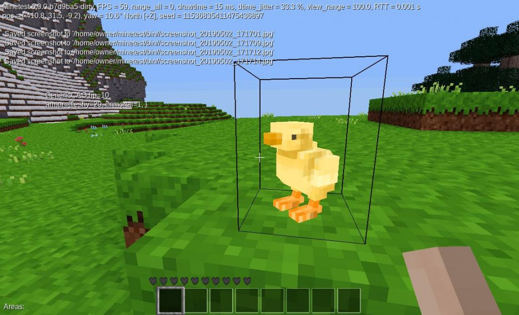 Minetest Baby Chick